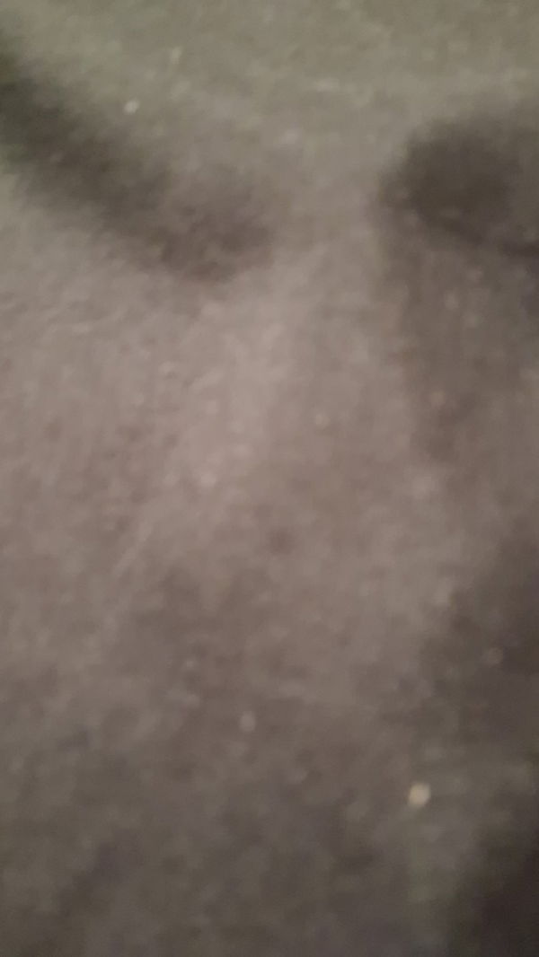 brownzach698, 18 years old from United States