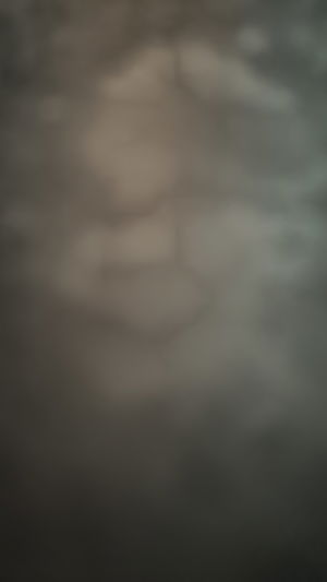 karmorny's Profile Photo