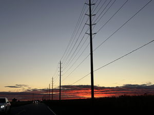 Jasper's Profile Photo