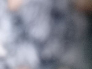 JAYDEN's Profile Photo