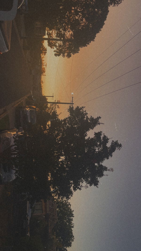 dogg48799, 21 years old from Australia