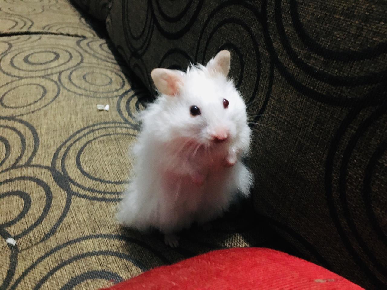 ak9876's Profile Photo