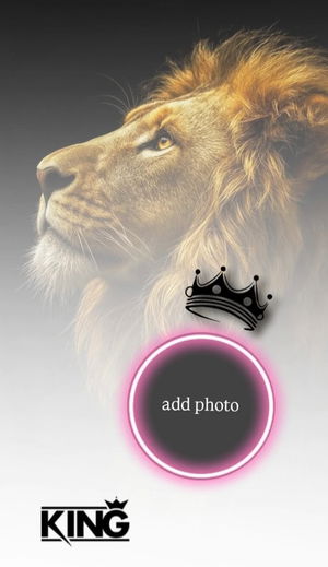 rfdff9155's Profile Photo