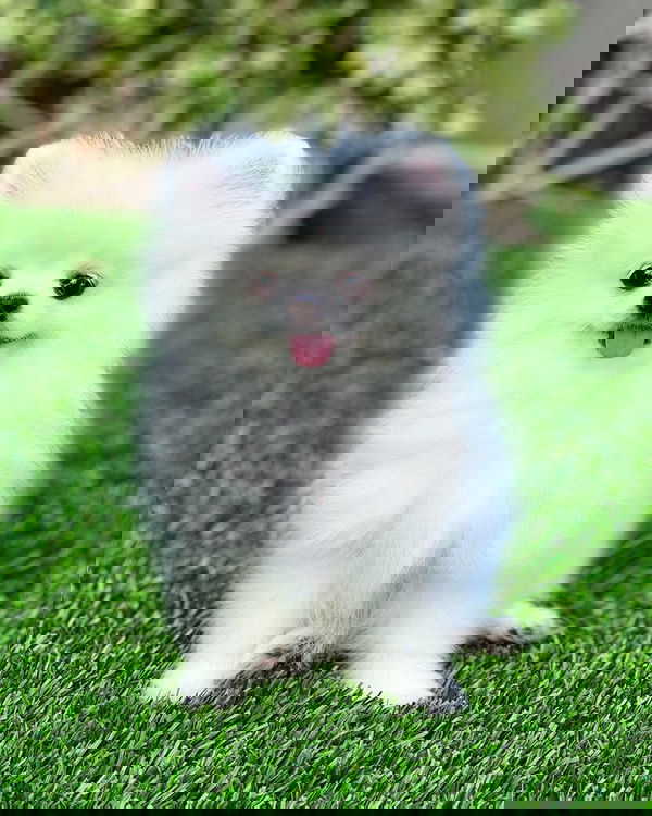 kimmyporter21, 20 years old from Nigeria