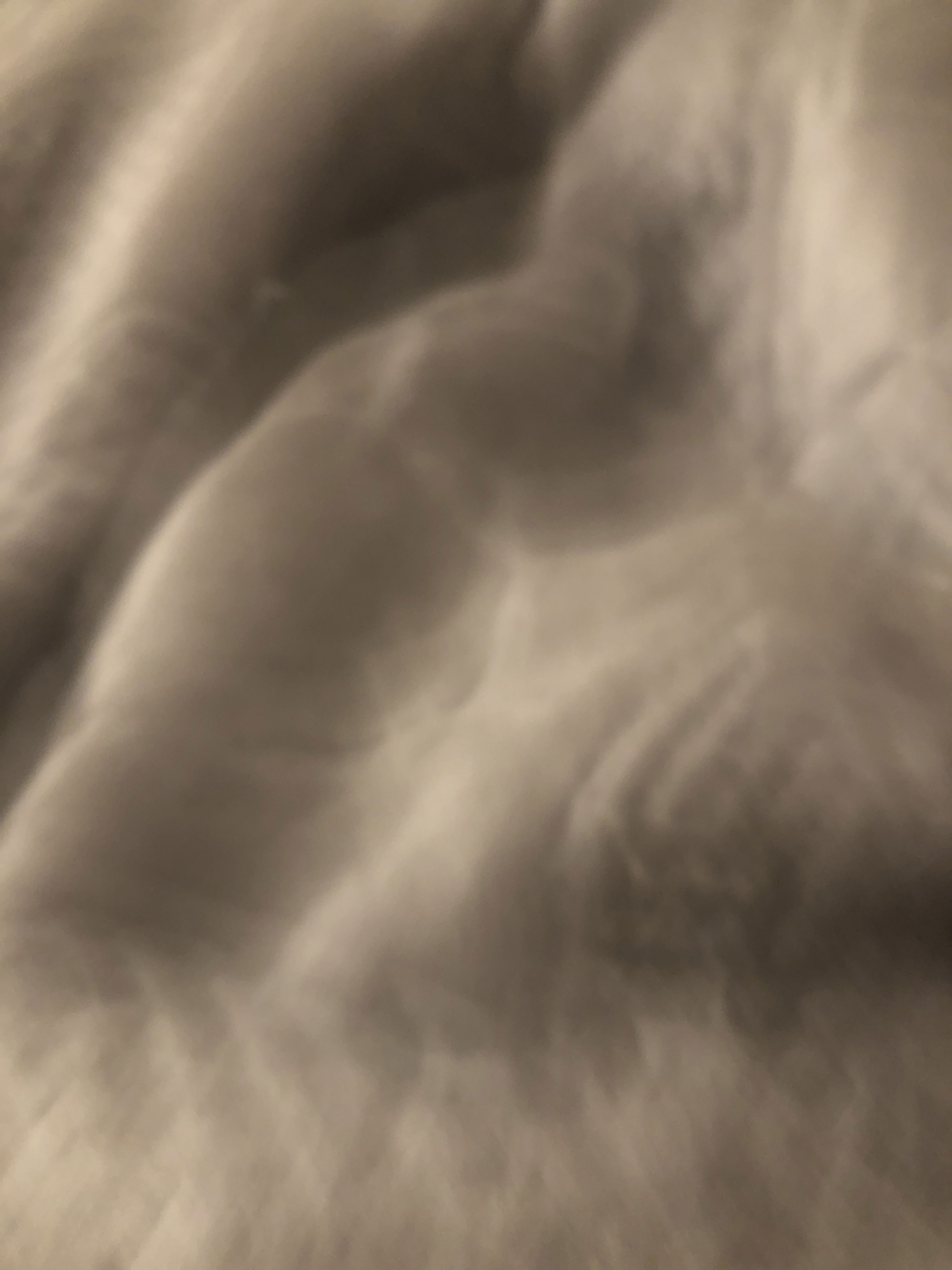 boylerjamie's Profile Photo