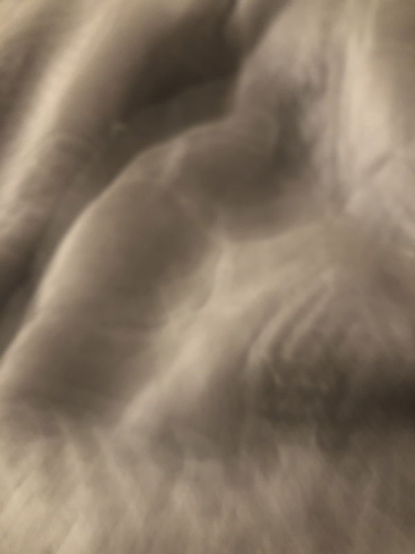 boylerjamie, 19 years old from United Kingdom