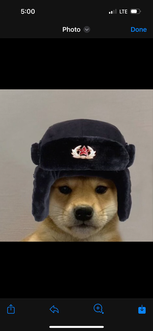 kord's Profile Photo