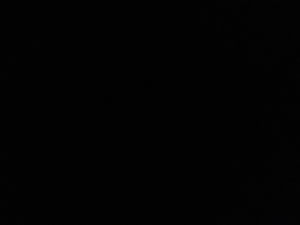 jz835722's Profile Photo