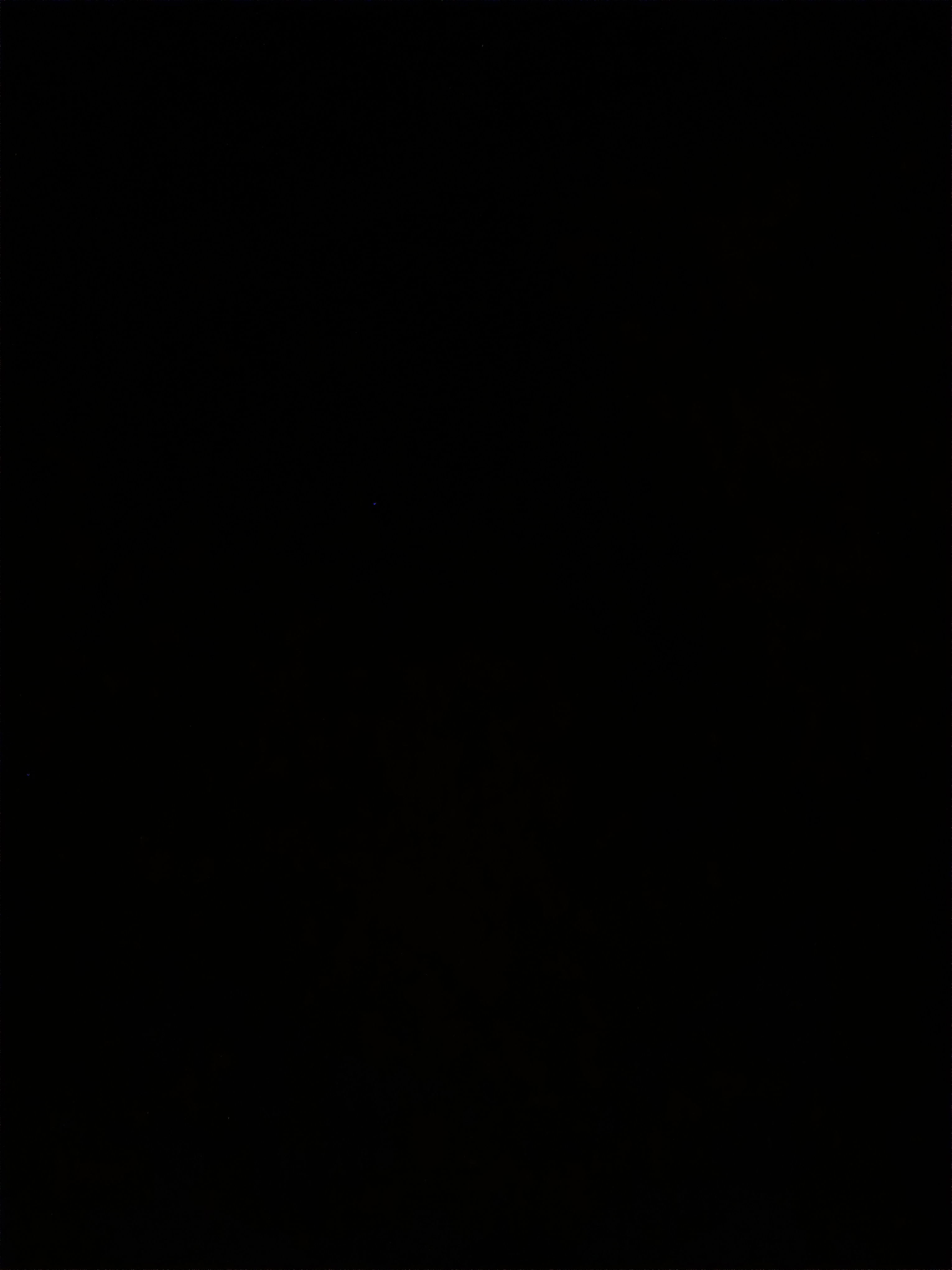 nathanielcolligan3's Profile Photo