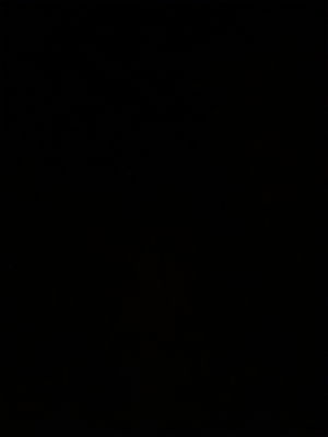 nathanielcolligan3's Profile Photo