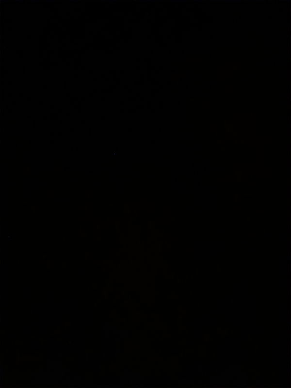 nathanielcolligan3, 20 years old from United States