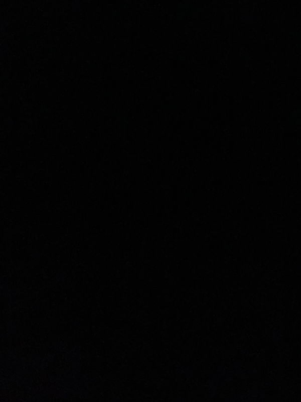 wyatt789, 19 years old from United States