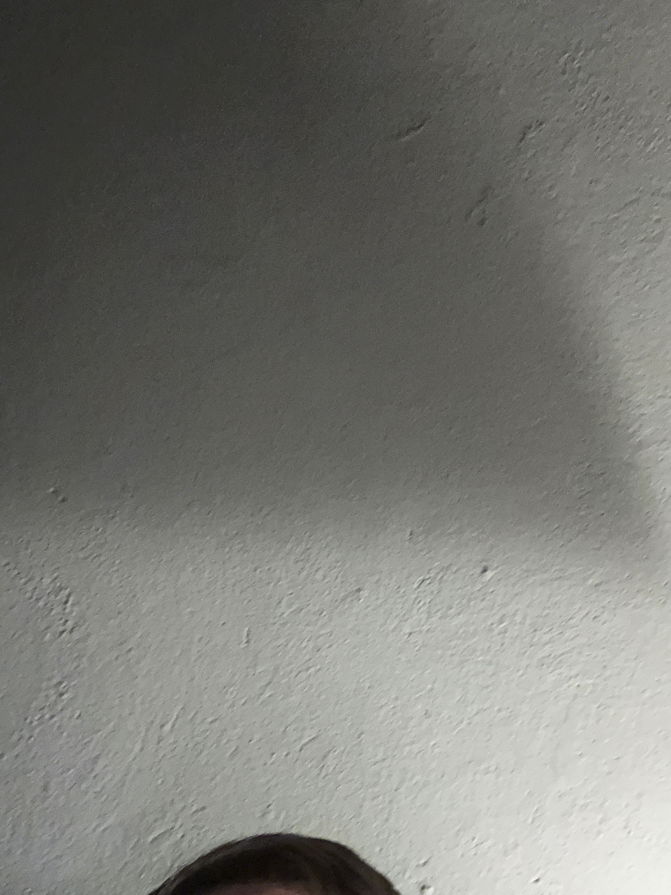 Loki03's Profile Photo