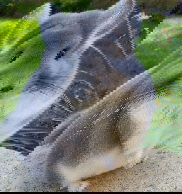 rclouddyy11, 26 years old from Singapore