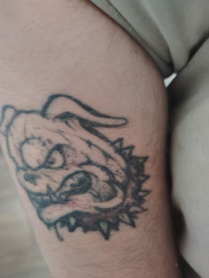 AChris656's Profile Photo