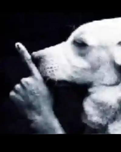 izzythegod562's Profile Photo