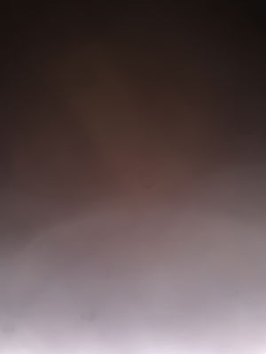 poubellenikel's Profile Photo