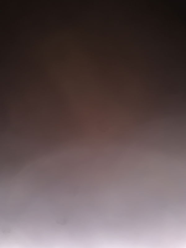 poubellenikel, 19 years old from Luxembourg