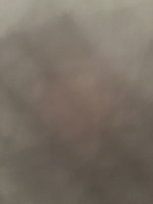 lcoy678's Profile Photo