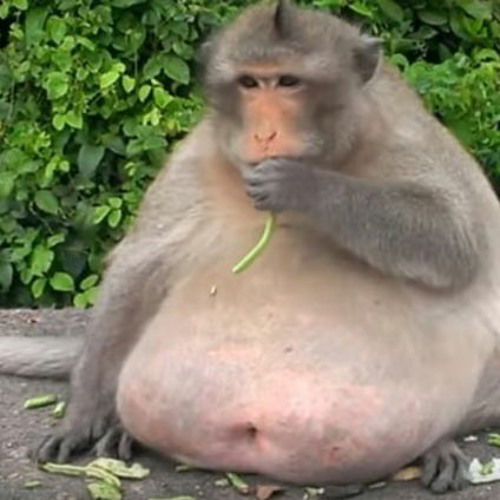 daniel123128, 21 years old from United Kingdom