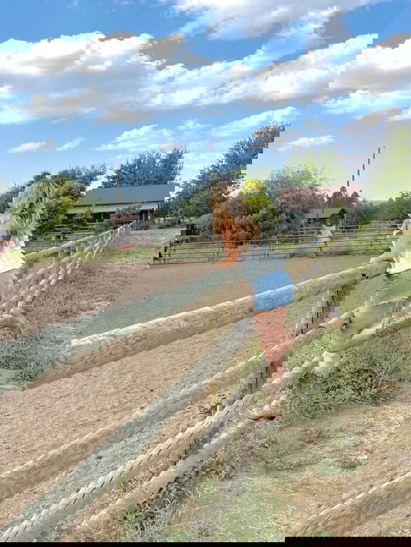 potaxa4157, 25 years old from United States