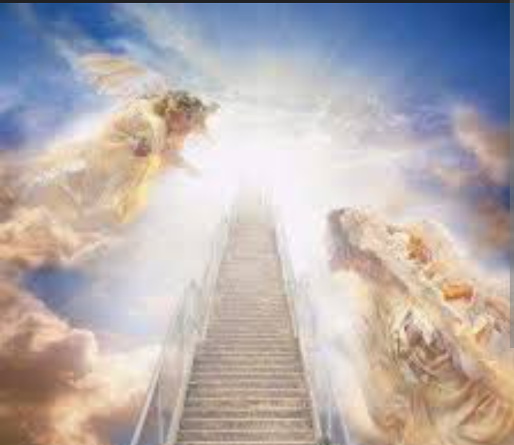 RC18865346's Profile Photo