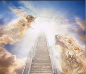 RC18865346's Profile Photo