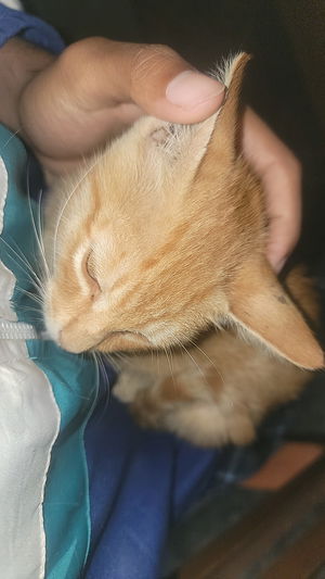 broskin568's Profile Photo