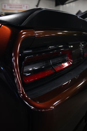 mccrae1's Profile Photo