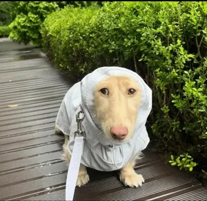 ilovehugemilkers's Profile Photo