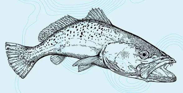 pocknick5, 18 years old from United States