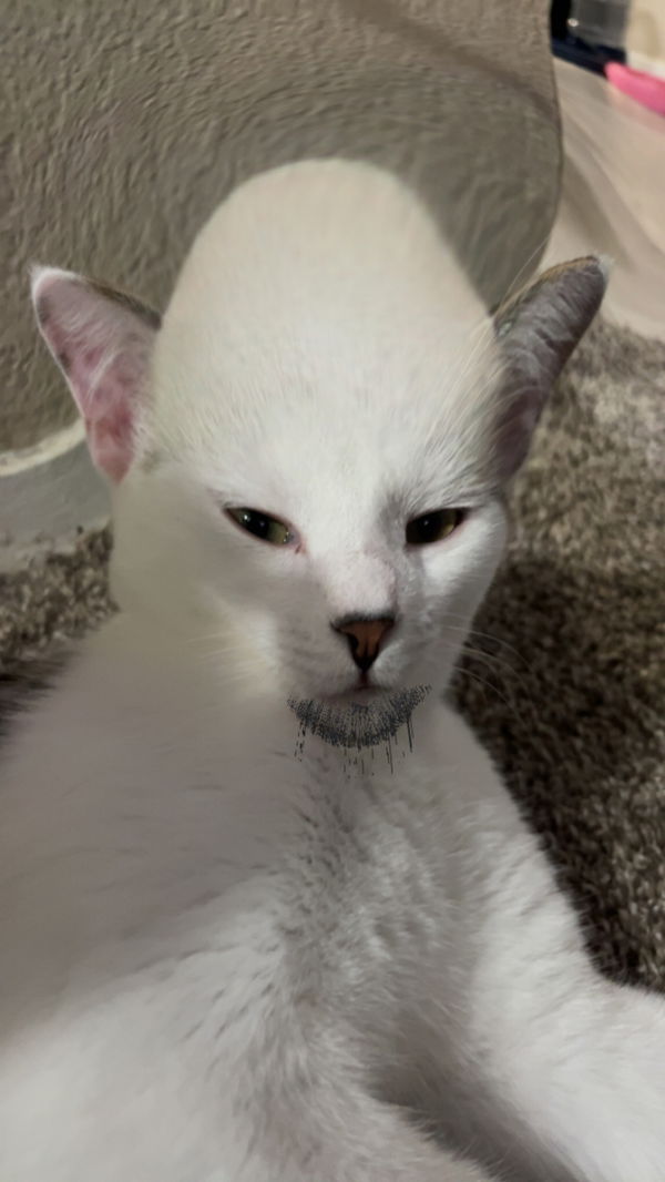 Aron22, 18 years old from United States