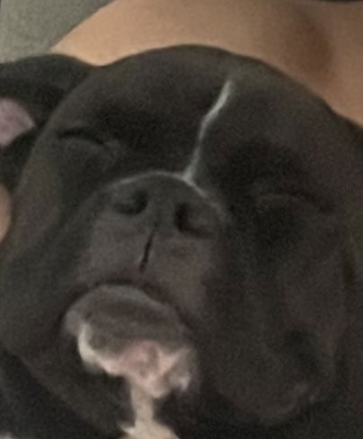 connorcoolguy33, 19 years old from United States