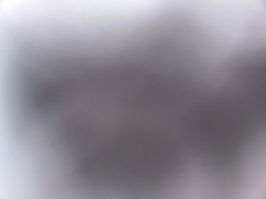 Trcvbgff's Profile Photo