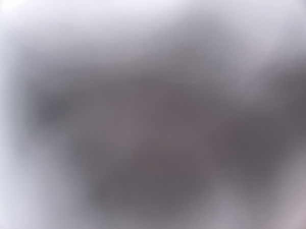 Trcvbgff, 18 years old from Netherlands