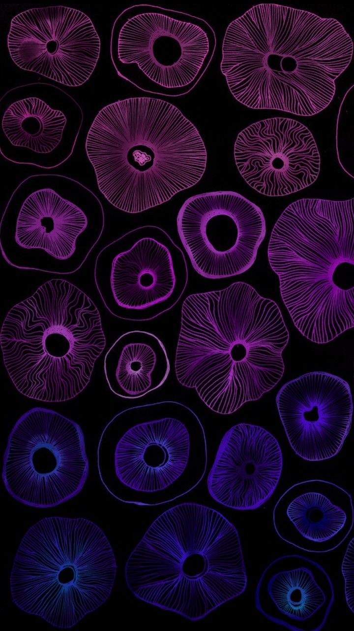 boylematthew55's Cover Photo