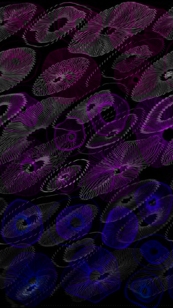 boylematthew55, 21 years old from United States