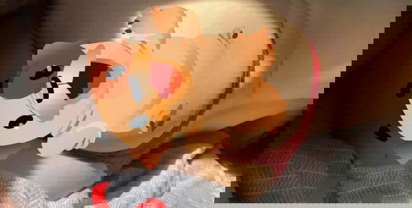 sextgirl939, 19 years old from Austria