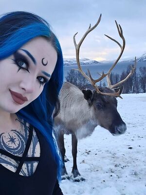 didabay685's Cover Photo