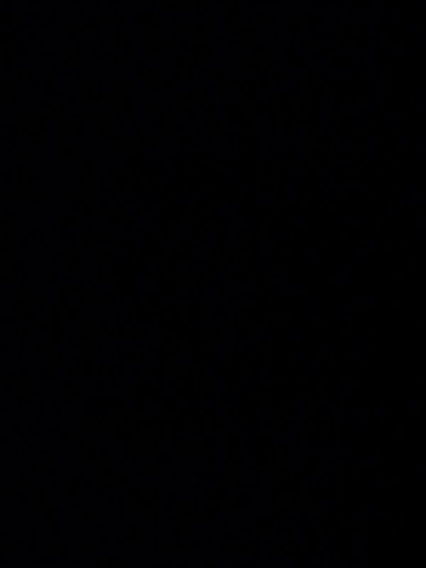 alainhenderieckx128, 19 years old from Belgium