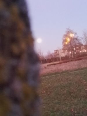 pretlover's Profile Photo