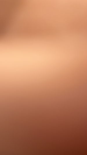 jalals6266's Profile Photo