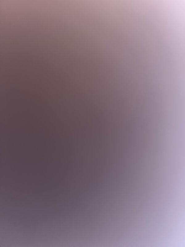 shabanovcamal2023, 24 years old from Germany