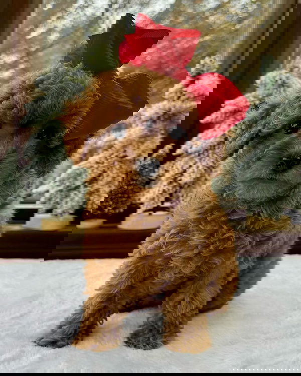 17, 21 years old from Cameroon