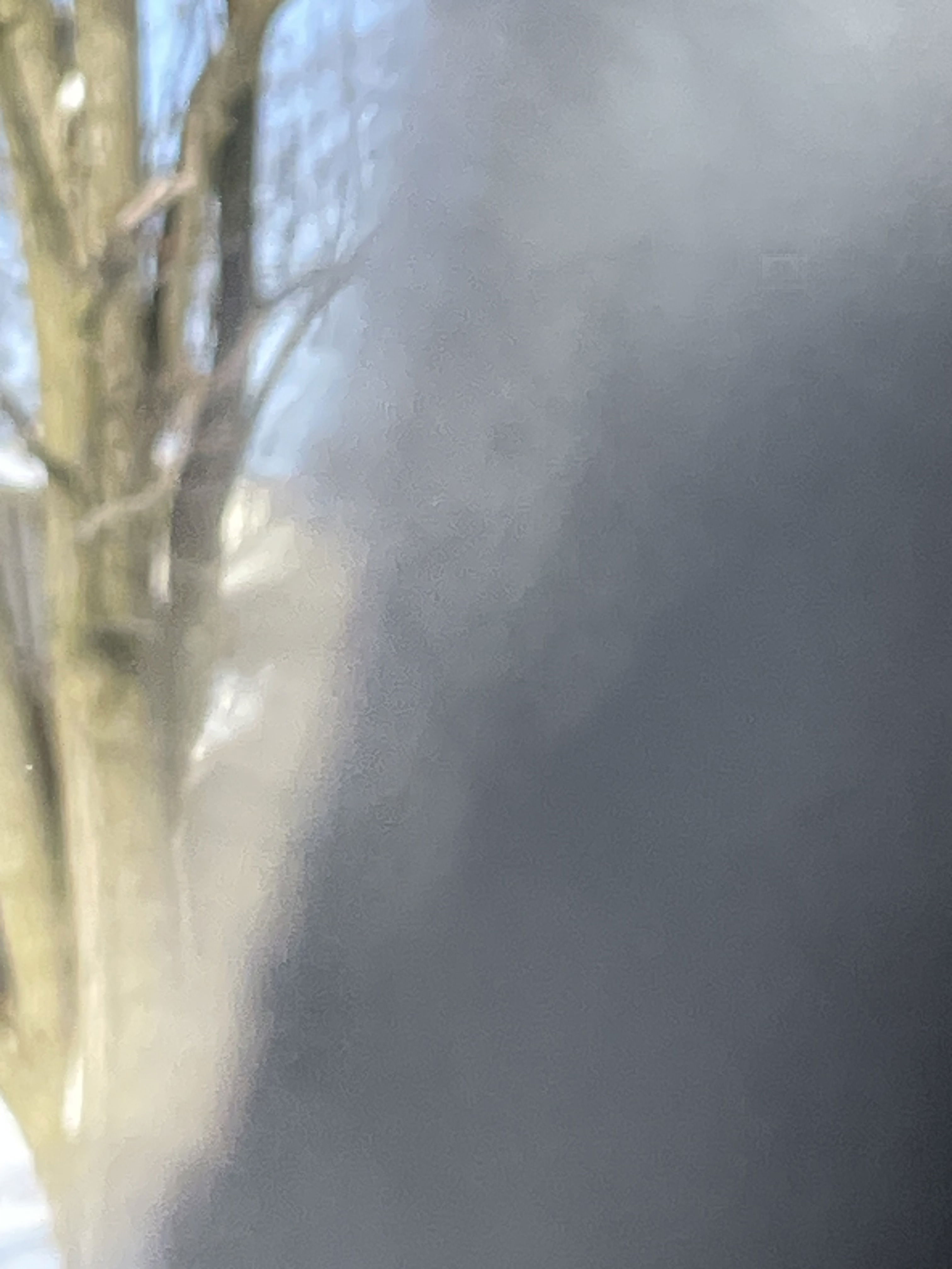 hey1559's Profile Photo