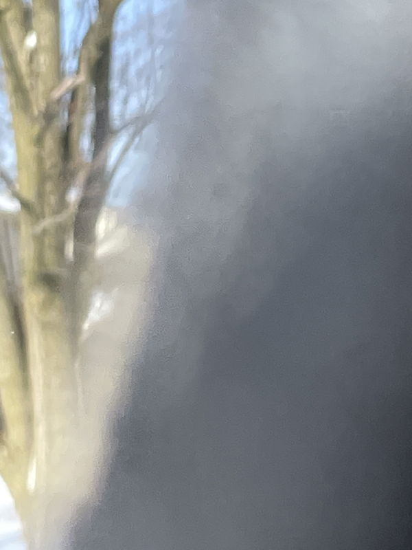 hey1559, 19 years old from United States