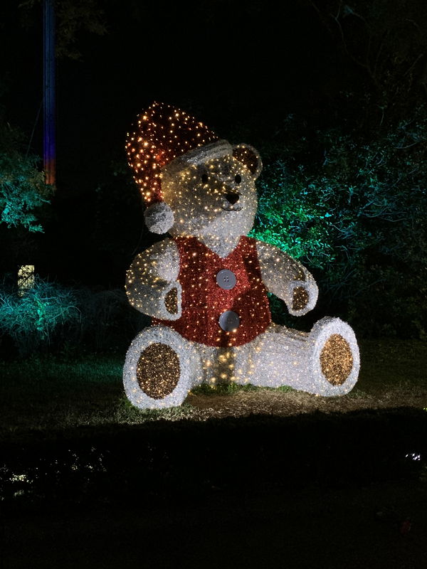 Horny12621, 23 years old from United States