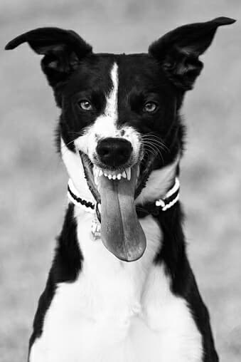 cotobedziecotobedzie's Profile Photo