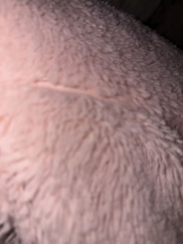 fp5675936, 19 years old from United States