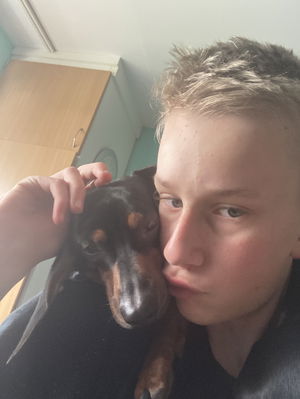 tobiassykora678's Profile Photo